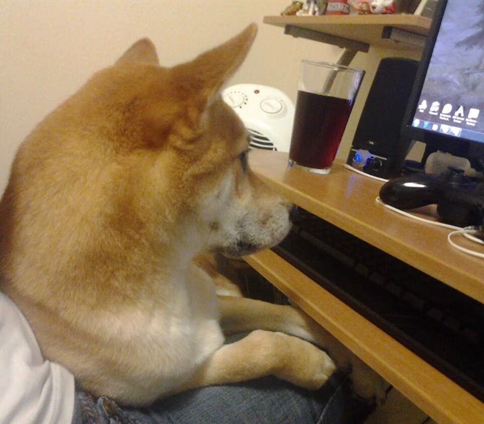 奥亚尔萨瓦尔惊艳四座！沙特友谊赛对阵贝蒂斯，一记世界波点亮跨洲足球之夜